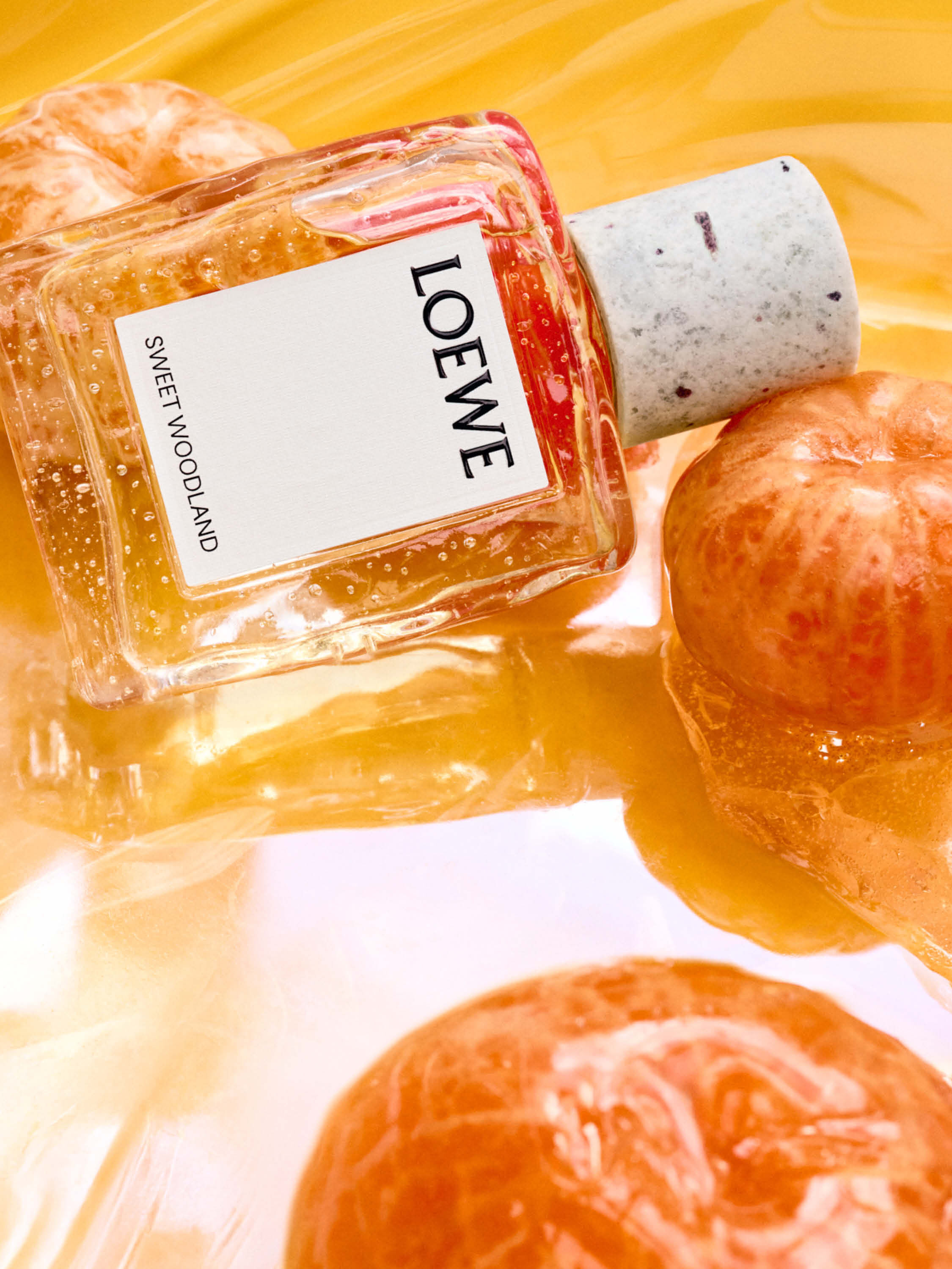 ロエベ公式オンラインストア｜LOEWE - ロエベ 日本 公式サイト
